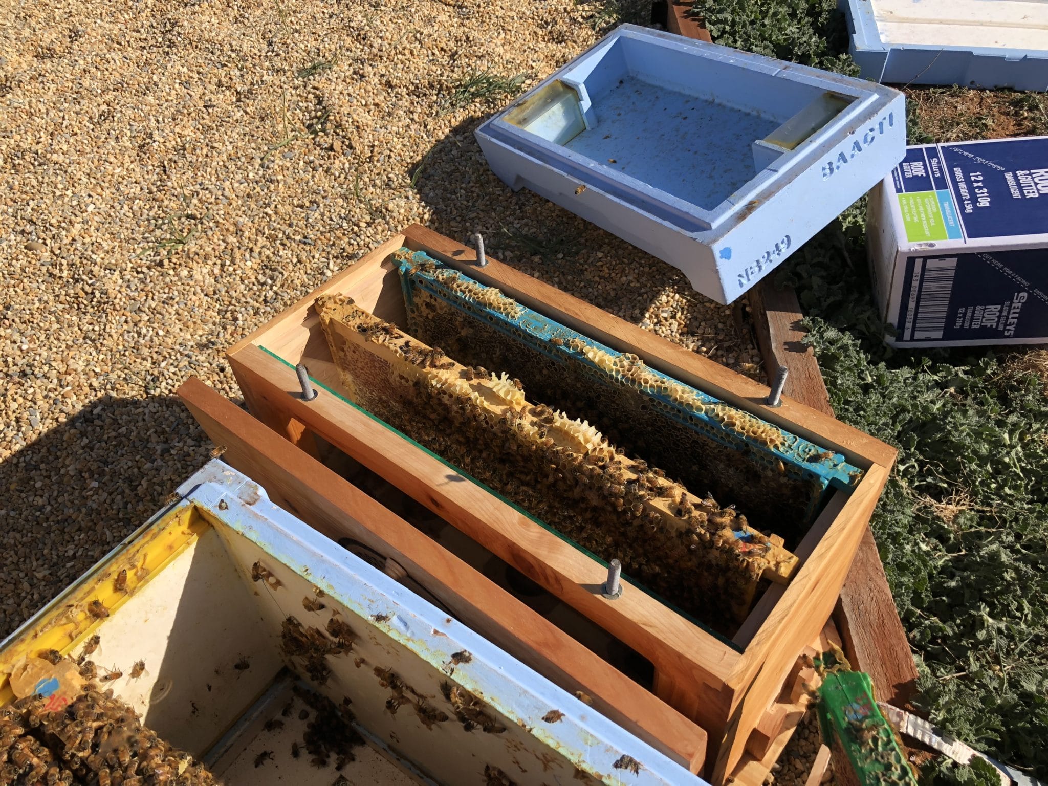 Nucs in use