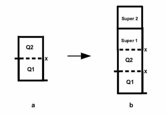 swarm queen guide