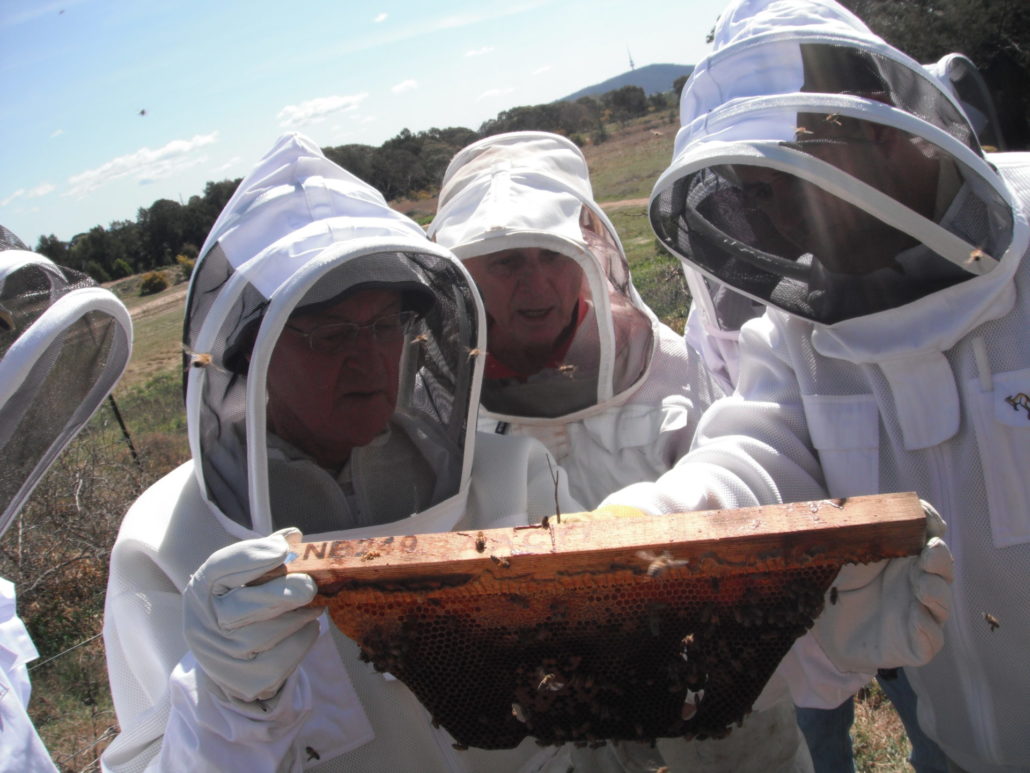 Building Bees for the Honey Flow ACT Beekeepers Association