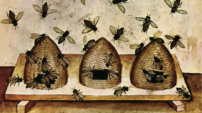 Mysterious origins of western honey bees revealed •