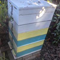 Two hives - Flow Hive and Technoset