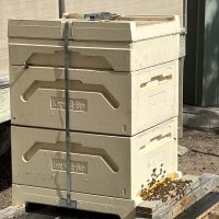 Going hive, range of associated items - moving interstate, hive needs new home